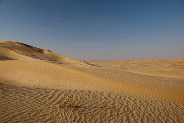 沙地沙丘 — 图库照片