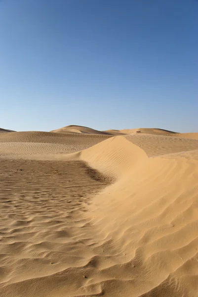 Deserto — Fotografia de Stock