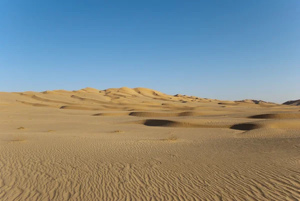 Deserto — Foto Stock