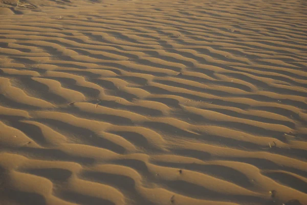 Zandstrand corrugation — Stockfoto