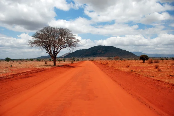 Uma estrada vermelha — Fotografia de Stock