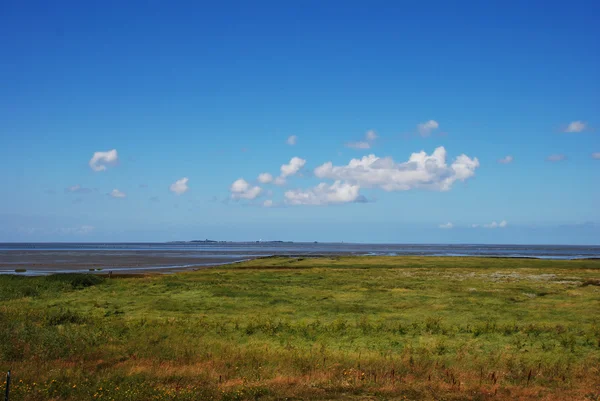 Pradera de sal — Foto de Stock