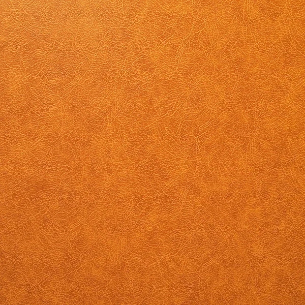 Skin texture — Stock Photo, Image
