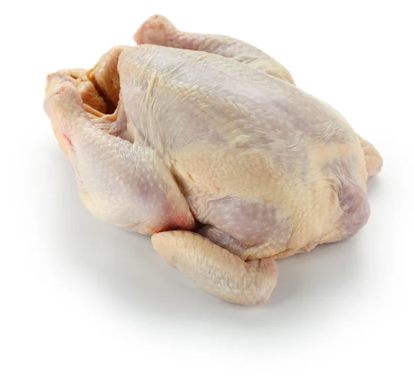 Raw whole chicken — Stock Photo, Image