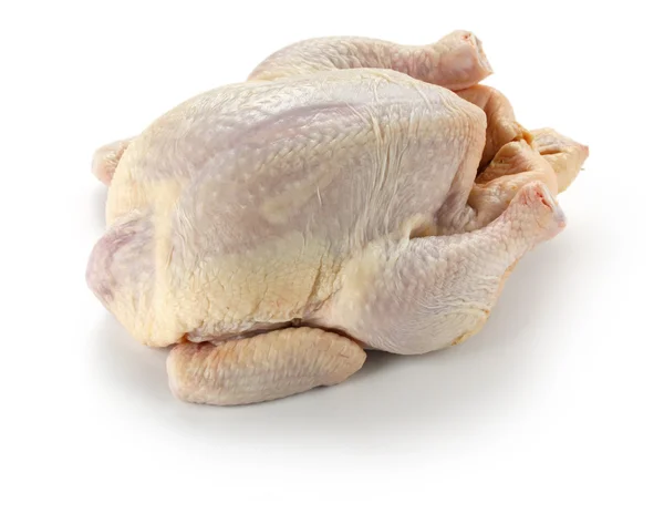 stock image Raw whole chicken