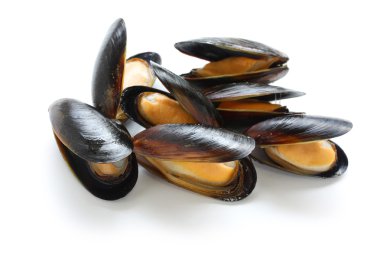 Mussels clipart