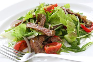 Beef salad clipart