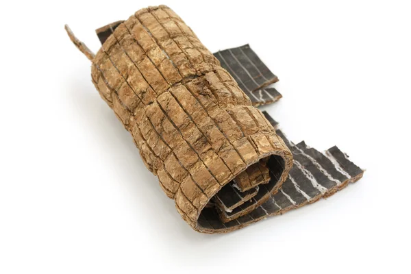 杜仲、トチュウ樹皮、伝統的な漢方薬 — ストック写真