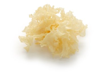 Snow fungus, traditional chinese herbal medicine clipart