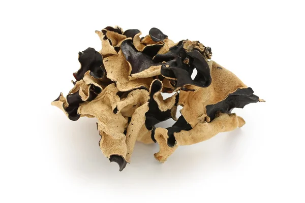 Dried cloud ear fungus, traditional chinese herbal medicine — Stock Photo, Image