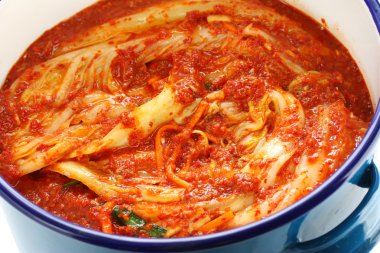 Making kimchi process clipart