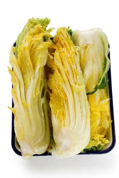 Kimchi proces — Stock fotografie