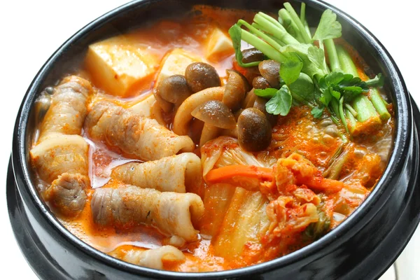 Kimchi στιφάδο — Φωτογραφία Αρχείου