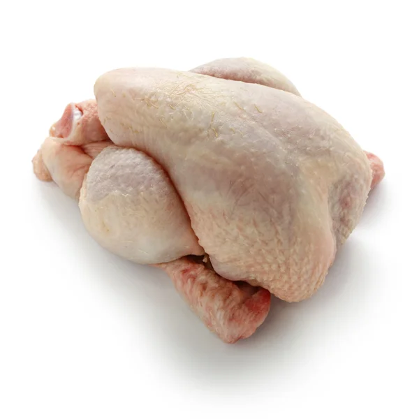 Poussin — Stock Photo, Image