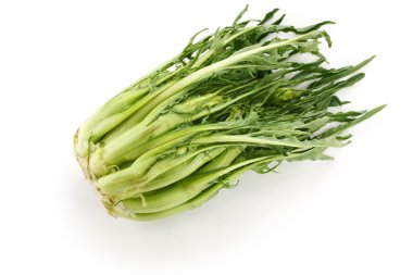 Puntarelle