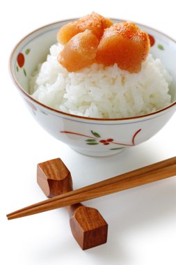 Seasoned cod roe on the rice clipart