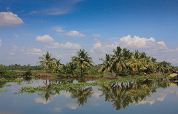 Kerala önemsizden Hindistan cevizi hurma ağaçları mavi gökyüzü yansıması ile