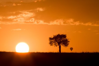 Masai mara sunrise with distant hot air balloon clipart