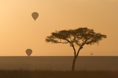 Balonlar masai mara'sona