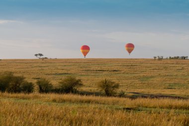 Balonlar masai mara'sona