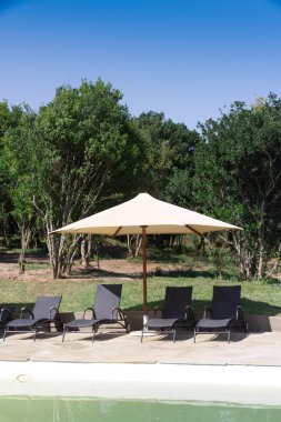 havuz kenarında şezlong lüks safari Lodge