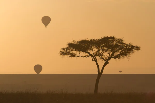 熱気球 （マサイマラ国立保護区 — ストック写真