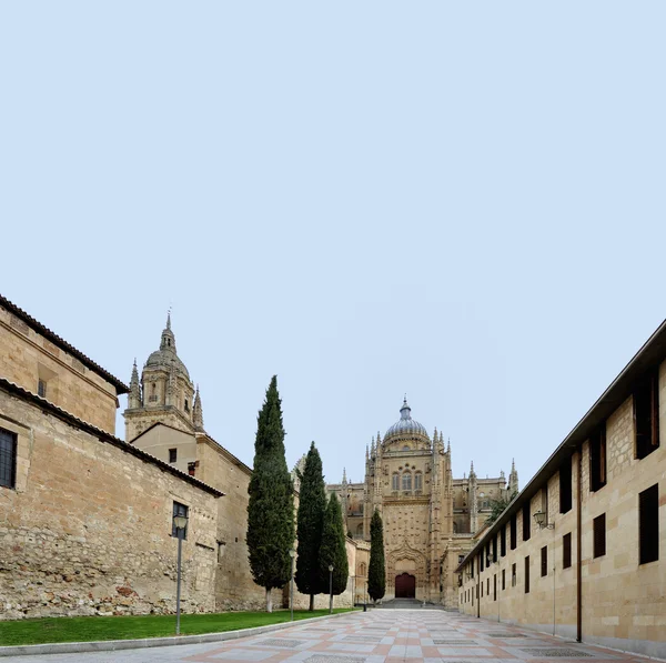 Kathedrale von Salamanca, Spanien — Stockfoto