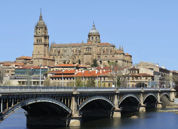 Catedral de Salamanca — Fotografia de Stock