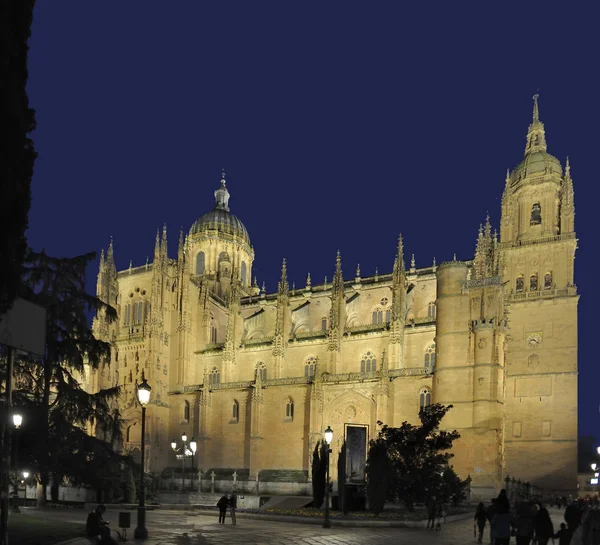 Catedral de Salamanca — Foto de Stock