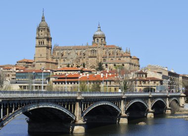 Cathedral of Salamanca clipart