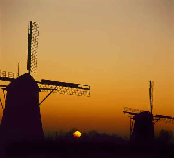 Molinos de viento holandeses en Kinderdijk, Países Bajos — Foto de Stock