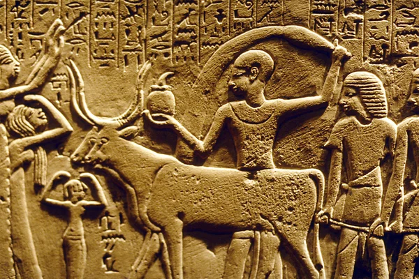 Єгипетські ієрогліфи — стокове фото