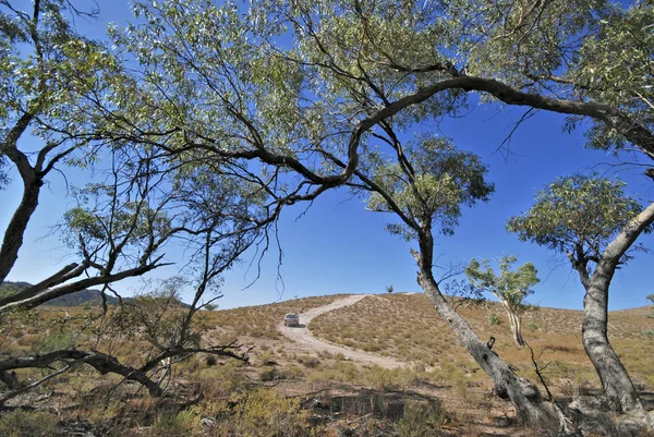 อุทยานแห่งชาติ Flinders ในออสเตรเลีย — ภาพถ่ายสต็อก