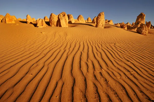 Pinnacles desert in Western Australia Royalty Free Stock Images
