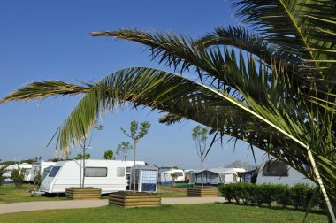 Campers and caravans at a camping. clipart