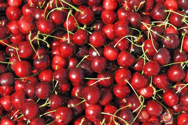 stock image Red cherries