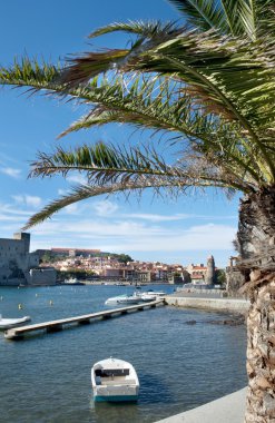 Collioure