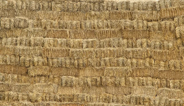 stock image Stack of straw