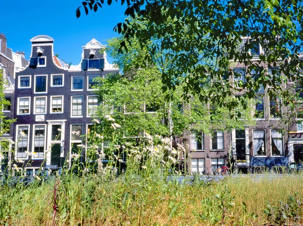 Amsterdam houses in summer — Stock Photo, Image