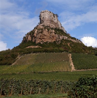 The vineyards of Solutré-Pouilly clipart