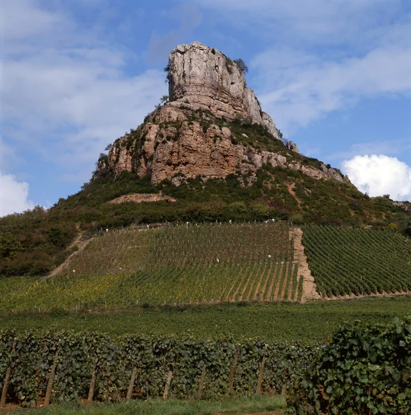 The vineyards of Solutré-Pouilly — Stock Photo, Image