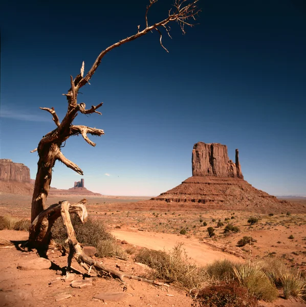 Grandes formações rochosas no parque Navajo Monument Valley — Fotografia de Stock