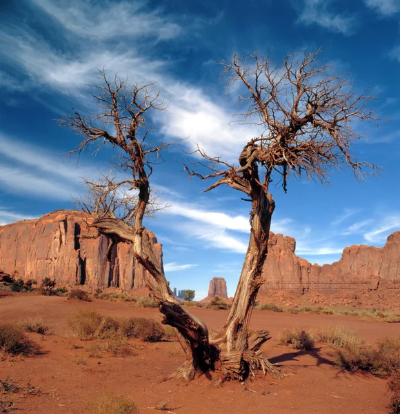 Grandes formations rocheuses dans le parc Navajo Monument Valley — Photo