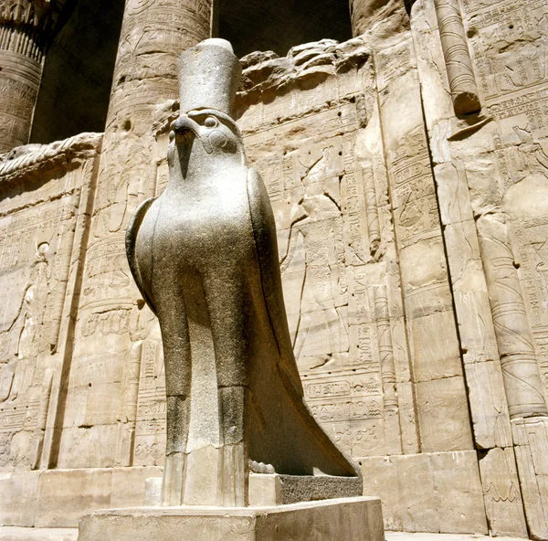 Horus staty i Horus templet i Edfu/Idfoe — Stockfoto