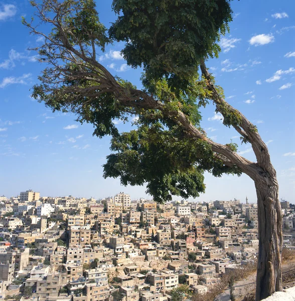 Blick auf Amman — Stockfoto