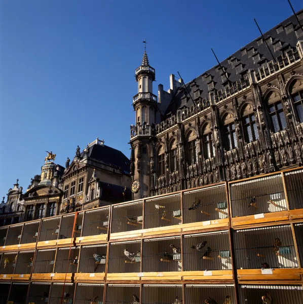 Pohled na grand place v Bruselu, Belgie — Stock fotografie