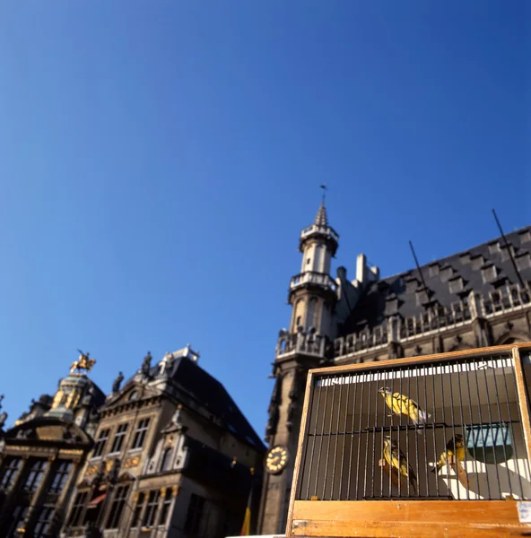 Vista da Grand Place em Bruxelas, Bélgica — Fotografia de Stock