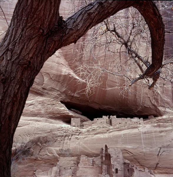 Weiße hausruinen am canyon de chelly — Stockfoto
