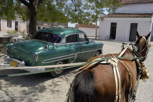Cavallo e vecchia macchina — Foto Stock