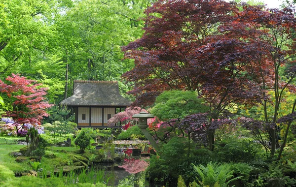 Japansk trädgård — Stockfoto